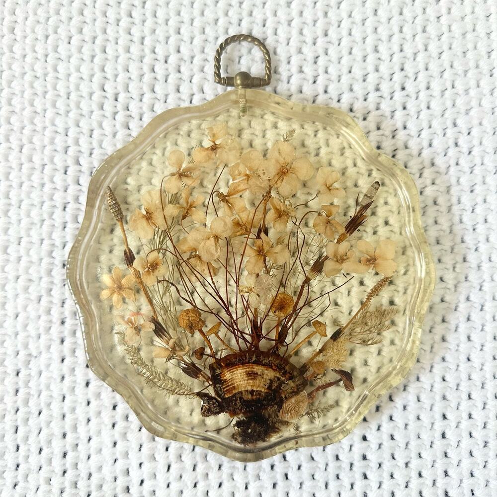 Resin Scalloped Edged Dried Preserved Pressed Wildflowers Seashell Wall Hanging